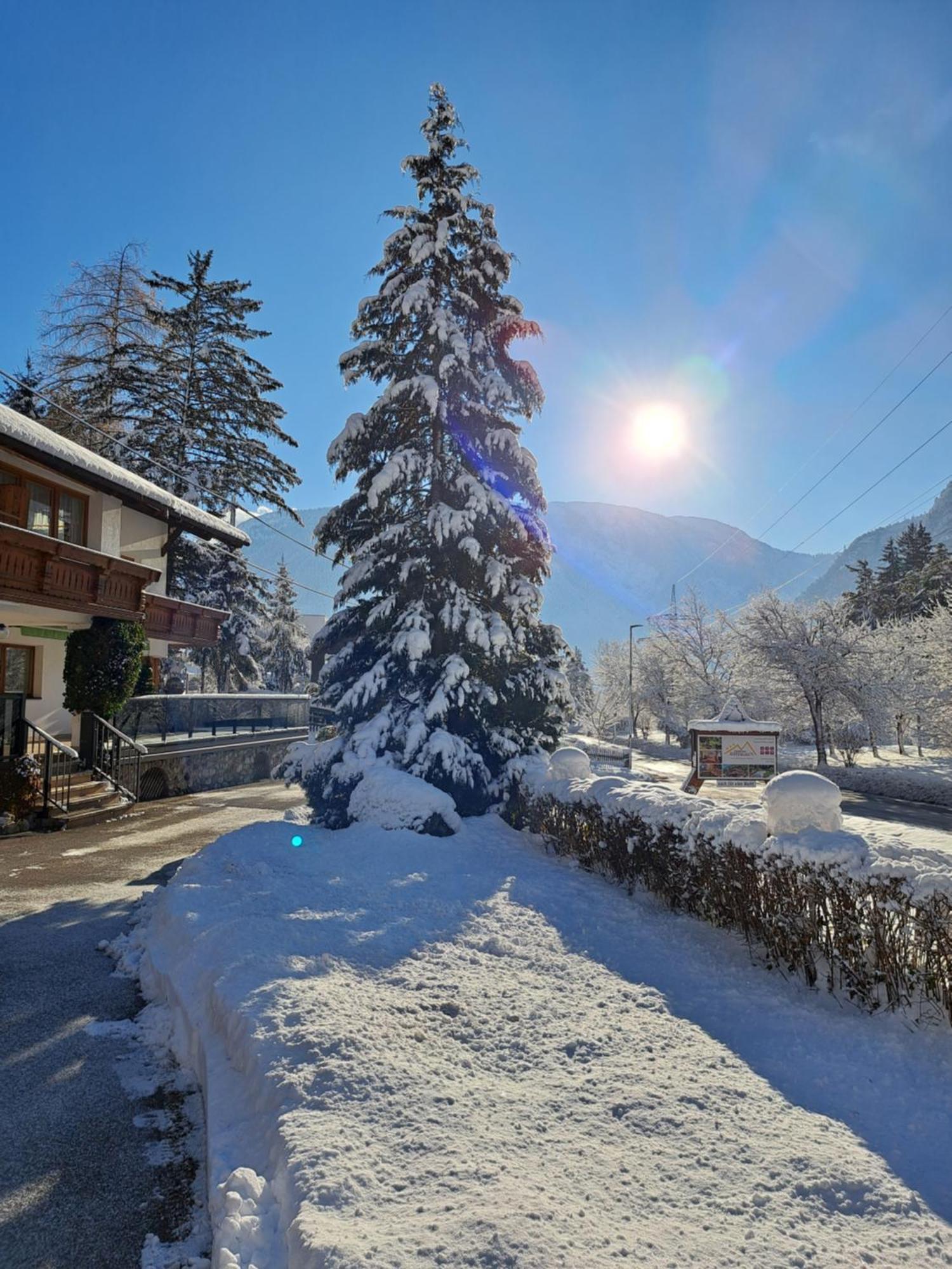 Gaestehaus Almrausch, Ferienanlage Mit Pool 那塞雷思 外观 照片