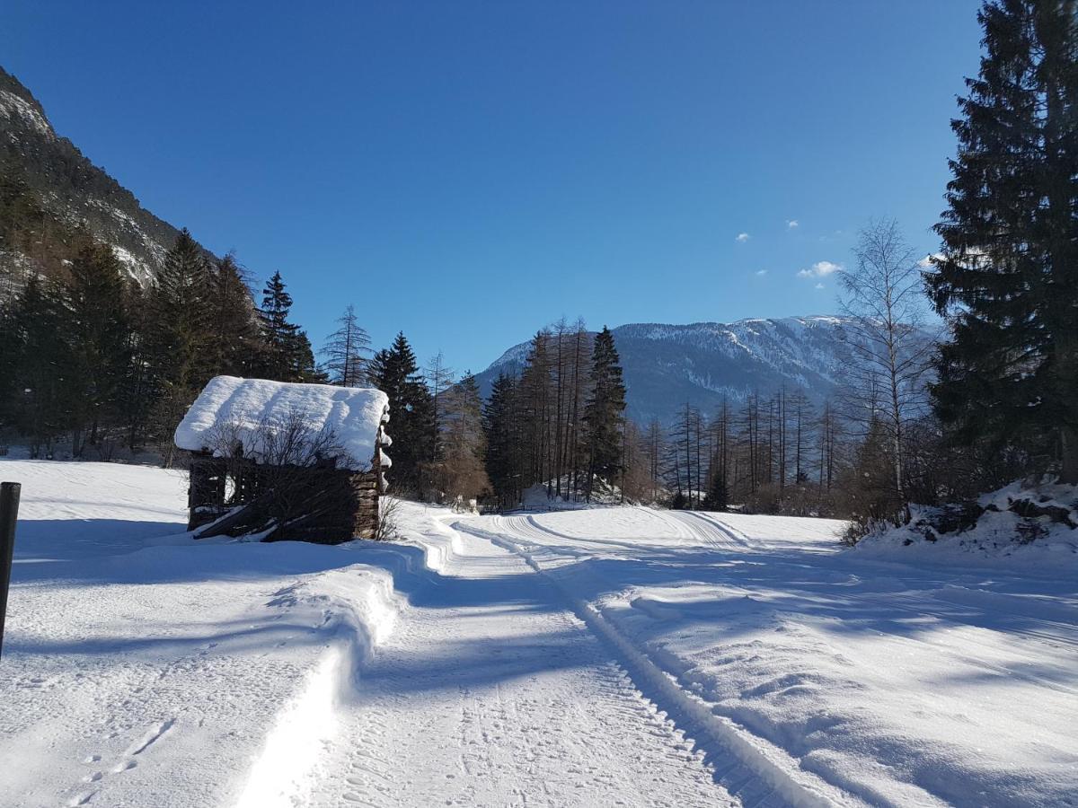Gaestehaus Almrausch, Ferienanlage Mit Pool 那塞雷思 外观 照片